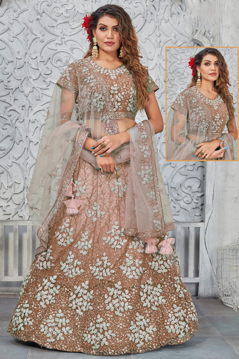 Chikoo Net Fabric Function Look Amazing Lehenga